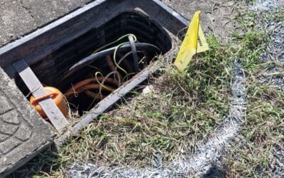 Fire Ant Damage to Electrical Infrastructure in Redlands, Brisbane