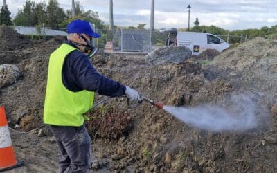 Topsoil Infested with Fire Ants in Gold Coast