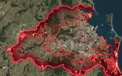 Is Australia Losing the War on Fire Ants? A Look at the Numbers